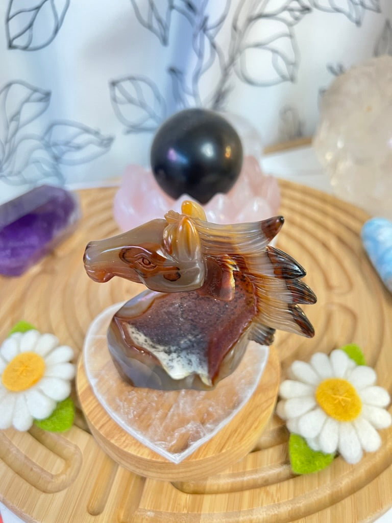 Animals & Nature Carvings