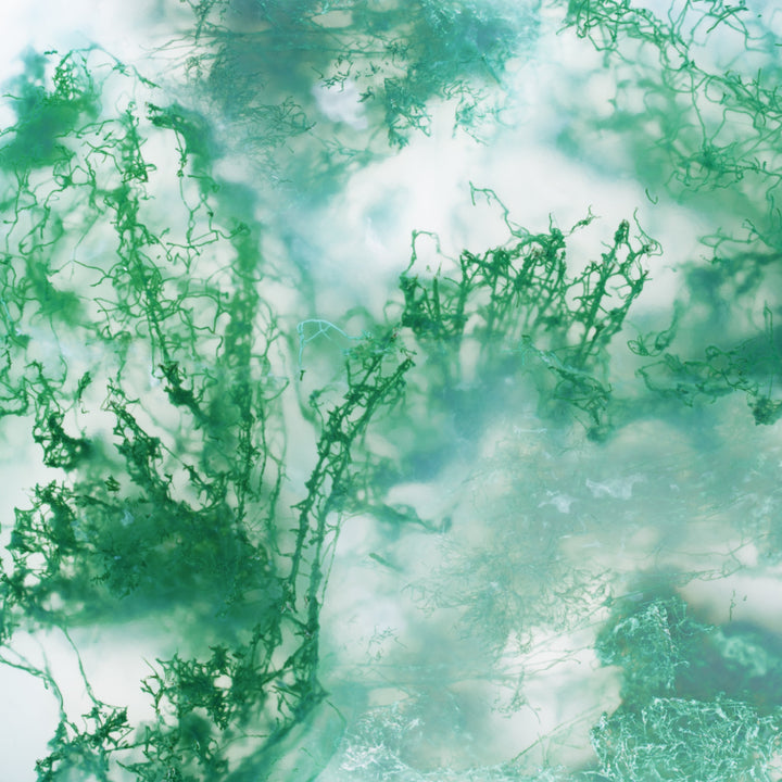 Moss Agate