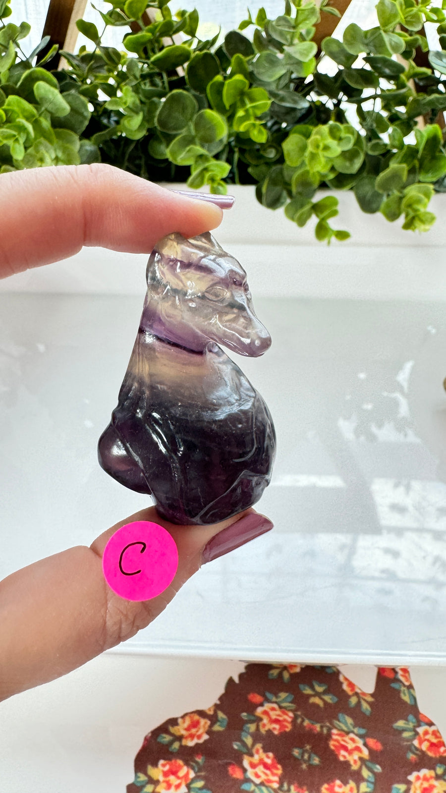 You Pick! Egyptian Anubis Bust in Fluorite, Choose Your Favorite, 2 Inch