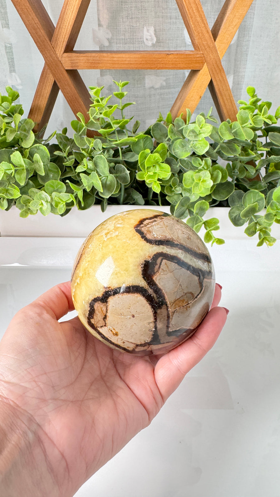 Septarian Sphere XL 3.5” (B) for Transformation
