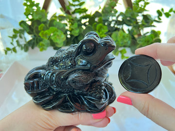 Lucky Frog with Removable Coin, Obsidian Gold Flash, XL 5.5 inches, Crystal Money Toad
