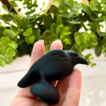 Black Obsidian Raven Crow for Protection & Boundaries, Matte Finish