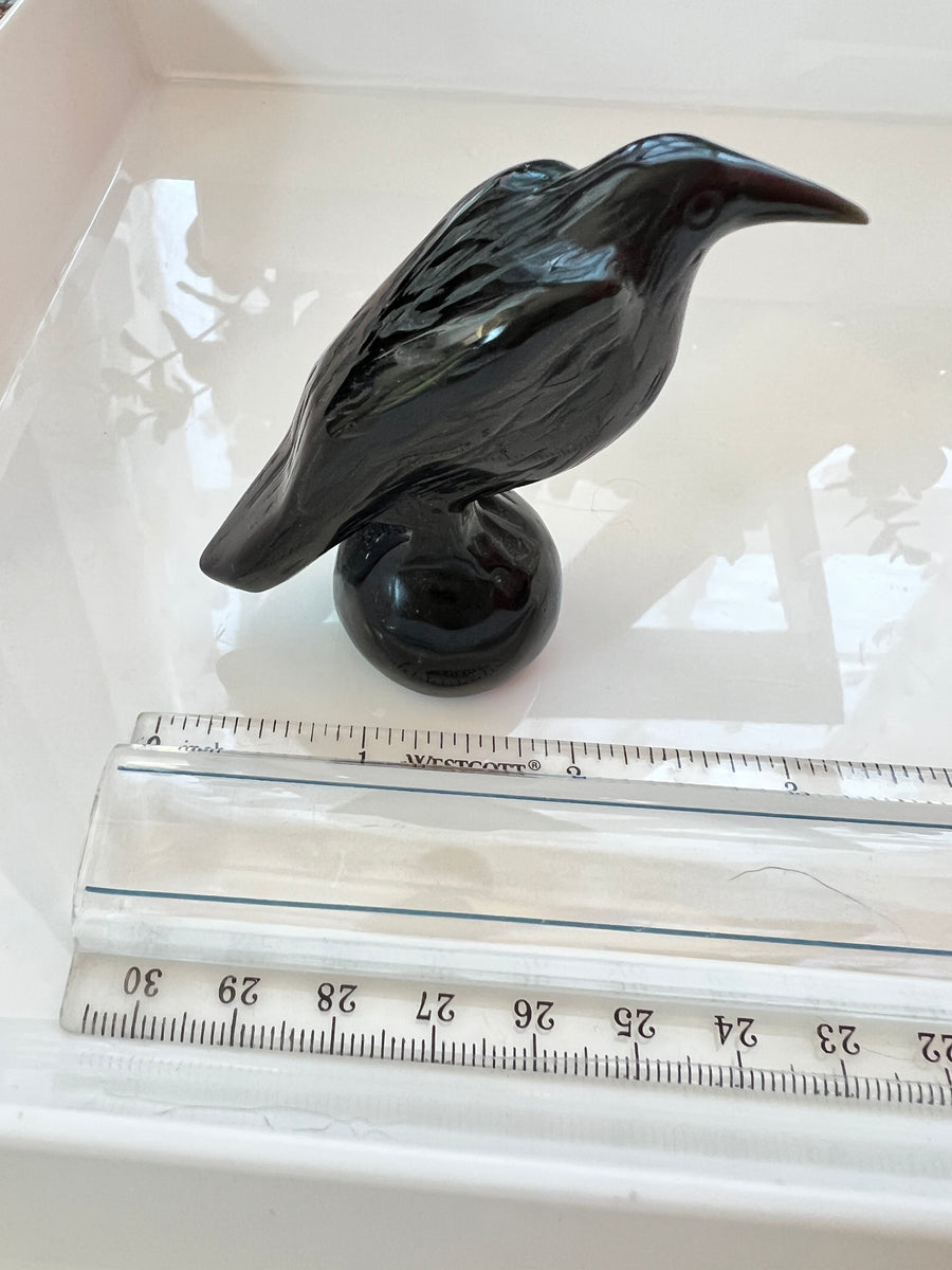 Black Obsidian Raven Crow Carving 3 Inch, Small