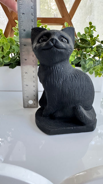 Huge Black Obsidian Cat 6