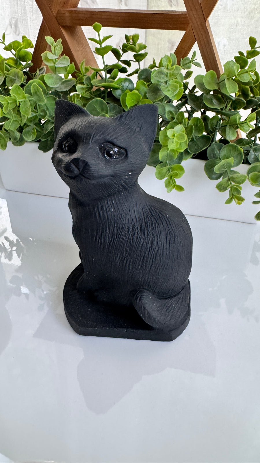 Huge Black Obsidian Cat 6