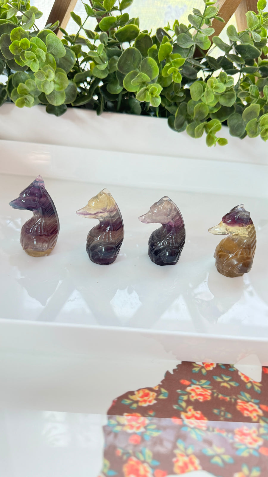 You Pick! Egyptian Anubis Bust in Fluorite, Choose Your Favorite, 2 Inch