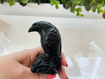 Black Obsidian Raven Crow Carving 3.5 Inches, Medium
