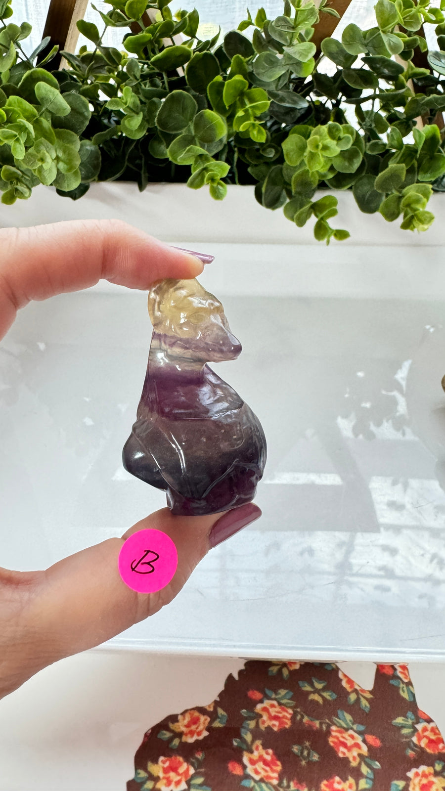 You Pick! Egyptian Anubis Bust in Fluorite, Choose Your Favorite, 2 Inch