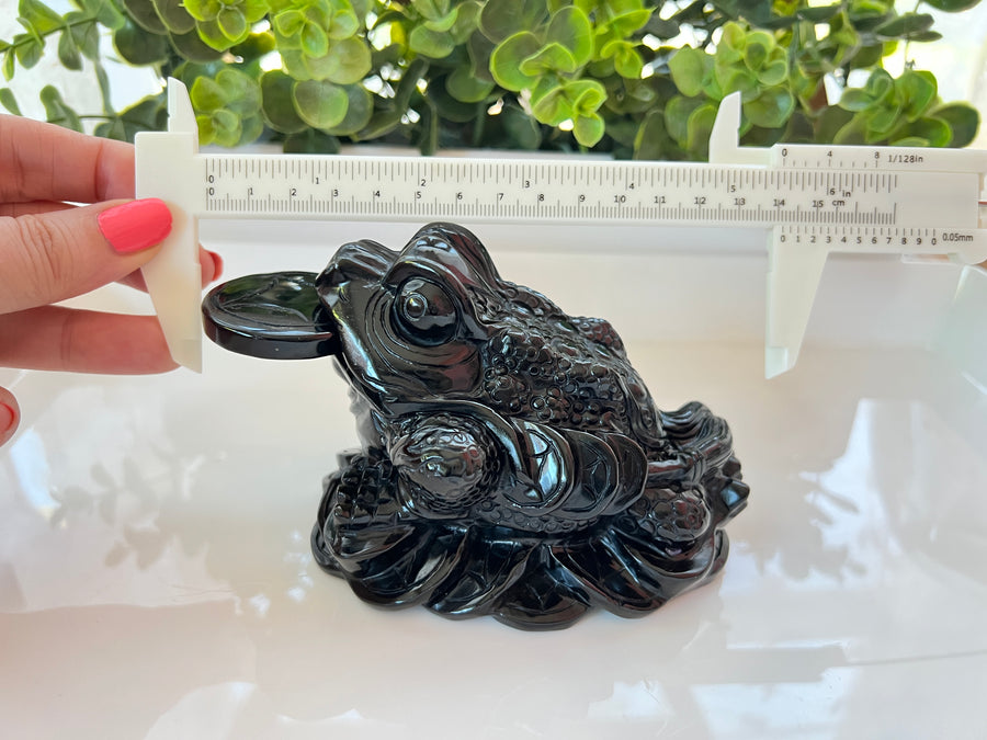Lucky Frog with Removable Coin, Obsidian Gold Flash, XL 5.5 inches, Crystal Money Toad