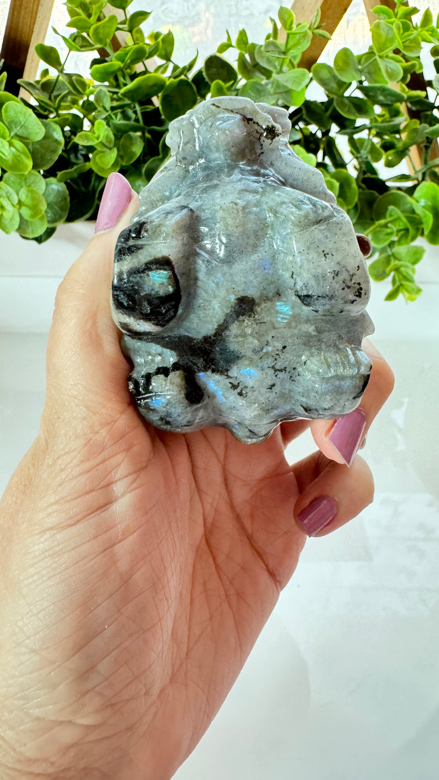 Lucky Crystal Dragon Turtle, Labradorite  - B - 3 x 2 x 2