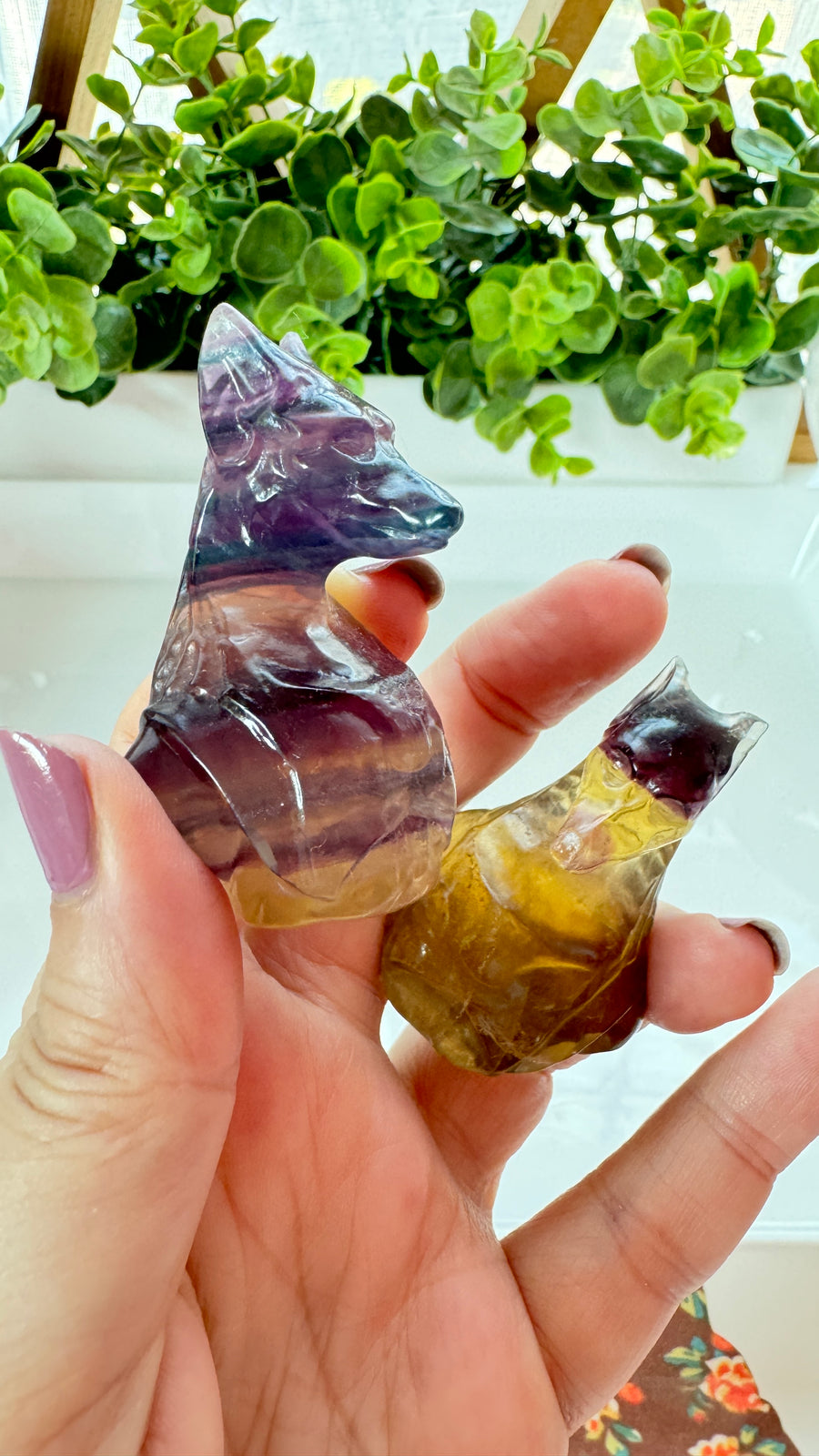You Pick! Egyptian Anubis Bust in Fluorite, Choose Your Favorite, 2 Inch
