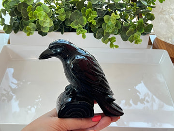 Black Obsidian Raven Crow Carving 4.5 x 5.5 Inches, Large