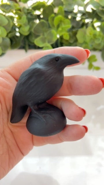 Black Obsidian Raven Crow for Protection & Boundaries, Matte Finish
