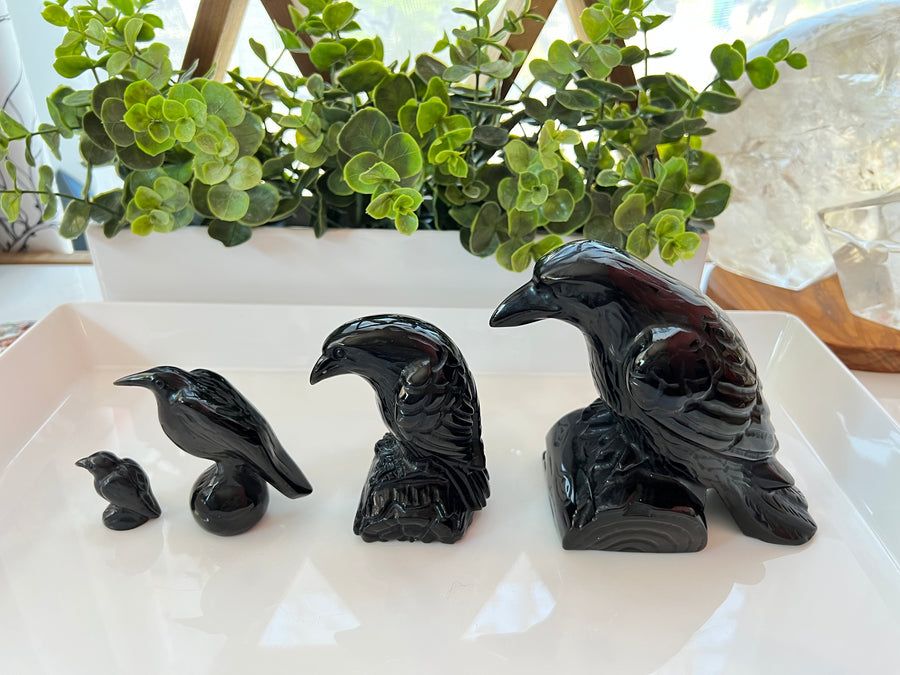Black Obsidian Yoni Raven Crow for Protection & Boundaries, 1 Inch