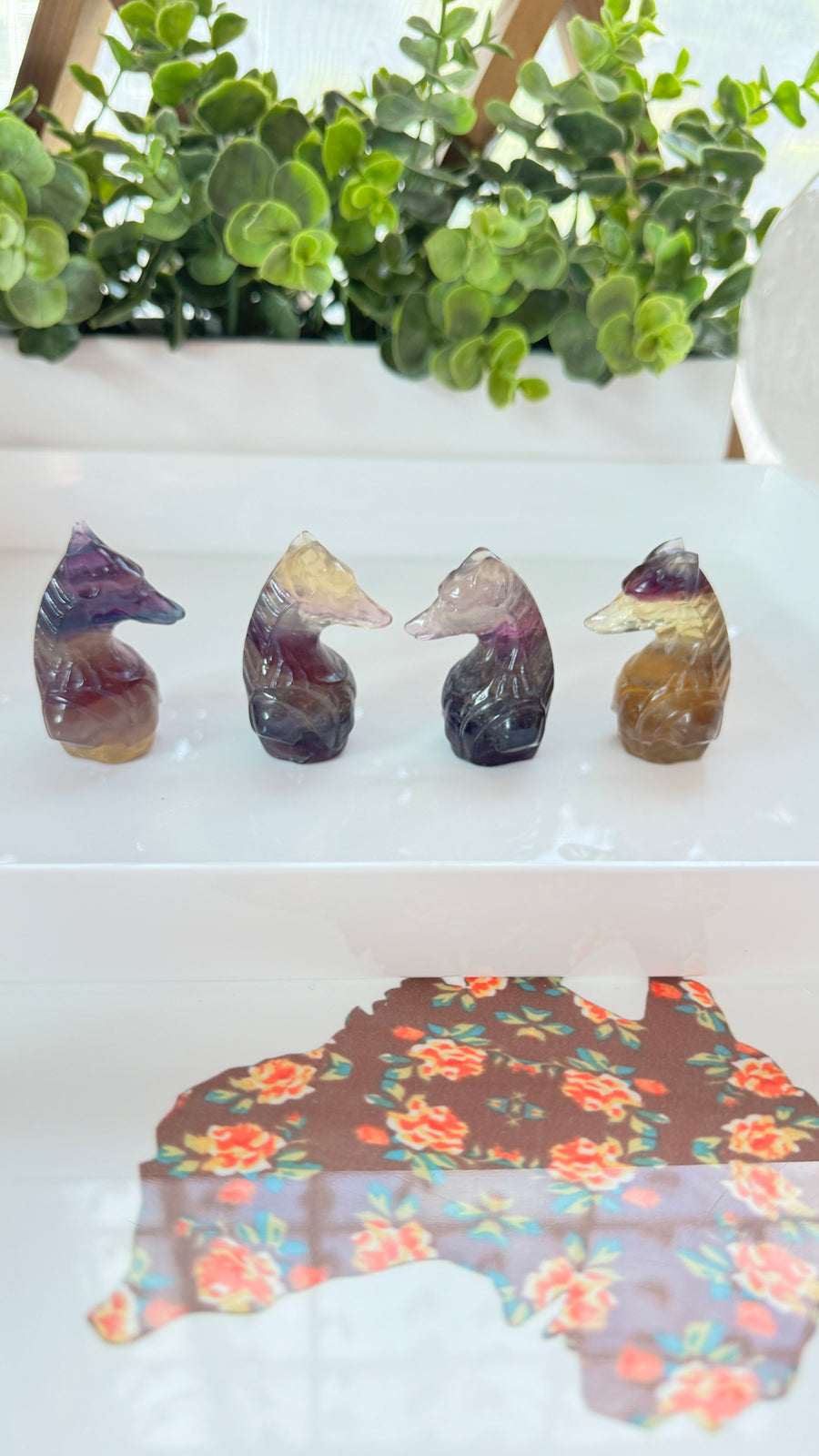 You Pick! Egyptian Anubis Bust in Fluorite, Choose Your Favorite, 2 Inch