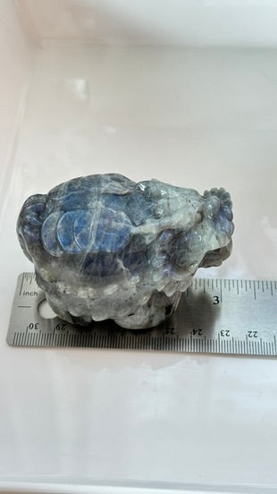 Lucky Crystal Dragon Turtle, Labradorite  - B - 3 x 2 x 2
