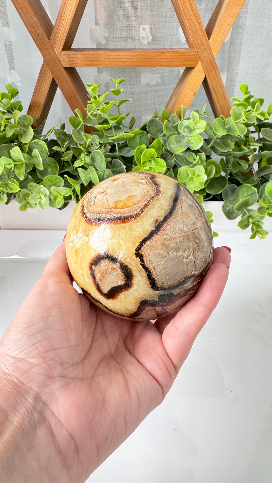 Septarian Sphere XL 3.5” (B) for Transformation