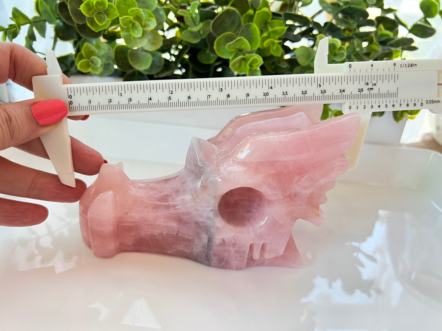 Premium Blue & Rose Quartz Crystal Dragon Skull, approx 6 inches