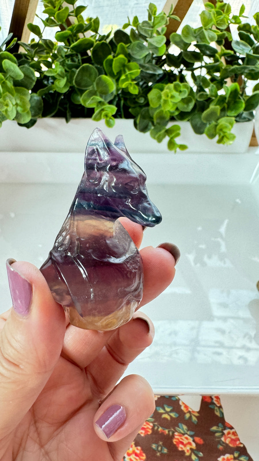 You Pick! Egyptian Anubis Bust in Fluorite, Choose Your Favorite, 2 Inch