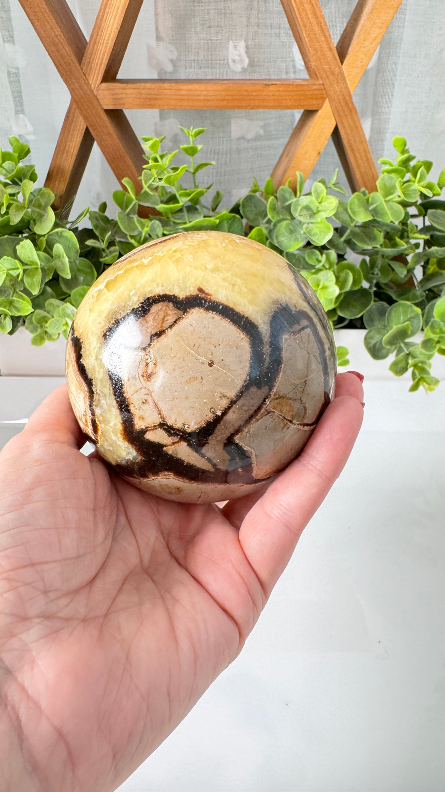Septarian Sphere XL 3.5” (B) for Transformation