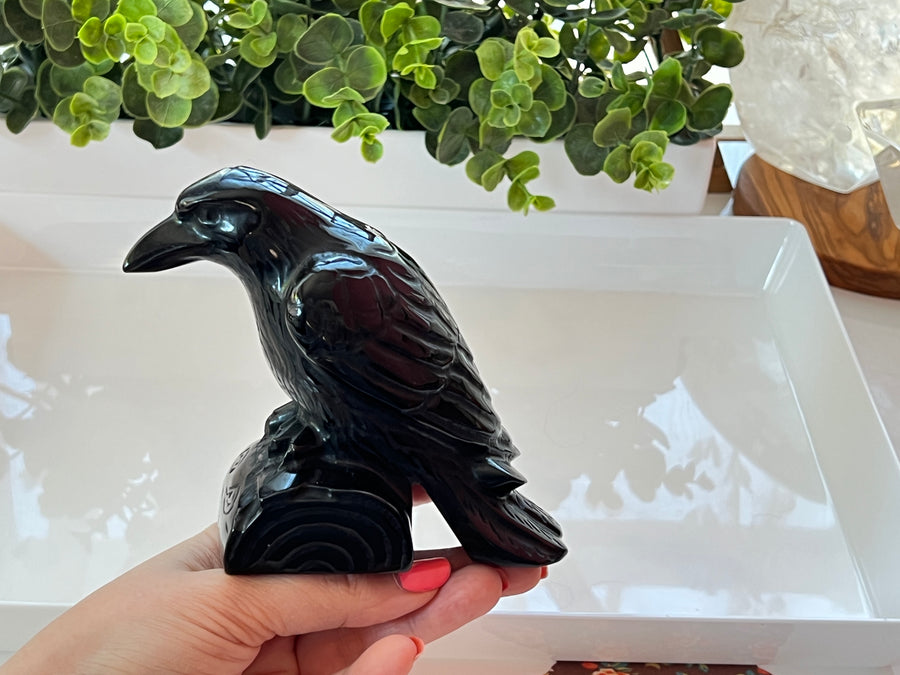 Black Obsidian Raven Crow Carving 4.5 x 5.5 Inches, Large