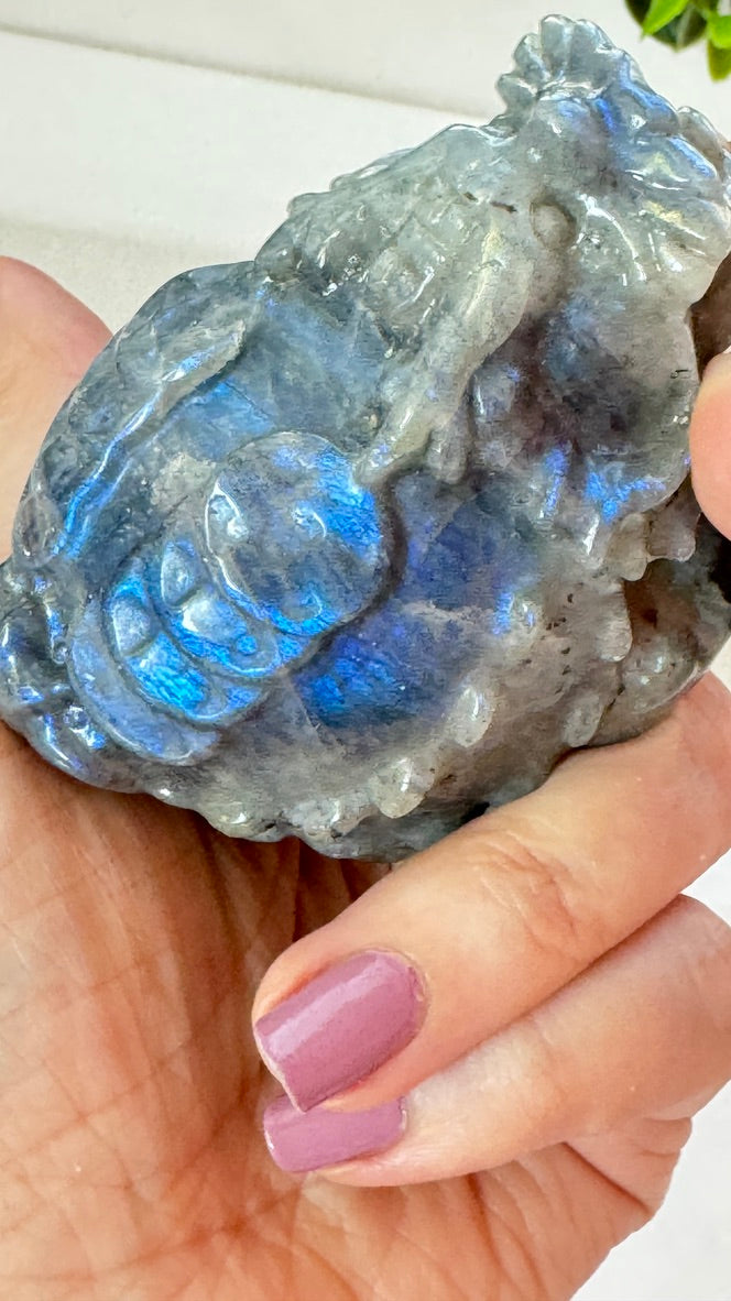 Lucky Crystal Dragon Turtle, Labradorite  - B - 3 x 2 x 2