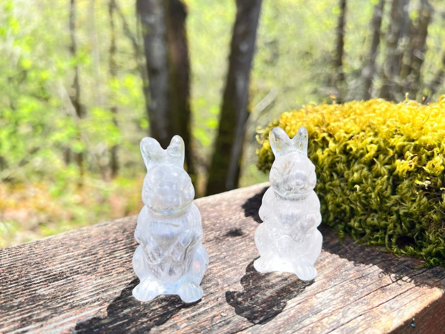 Clear Quartz Bunny Rabbit -RESERVED FOR INSTAGRAM LIVE SALE--JOIN OUR INSTAGRAM LIVE SALES AT SOULPRIMACRYSTALS, OR EMAIL US AT HELLO@SOULPRIMA.COM FOR INFO