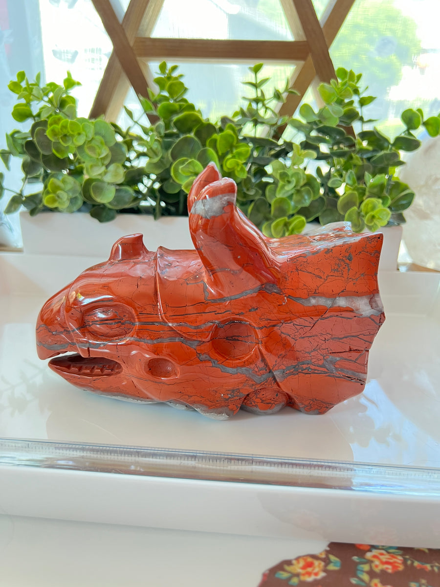 HUGE Red Jasper & Quartz Sacred Dragon Skull, Horned Dinosaur Ceratopsian