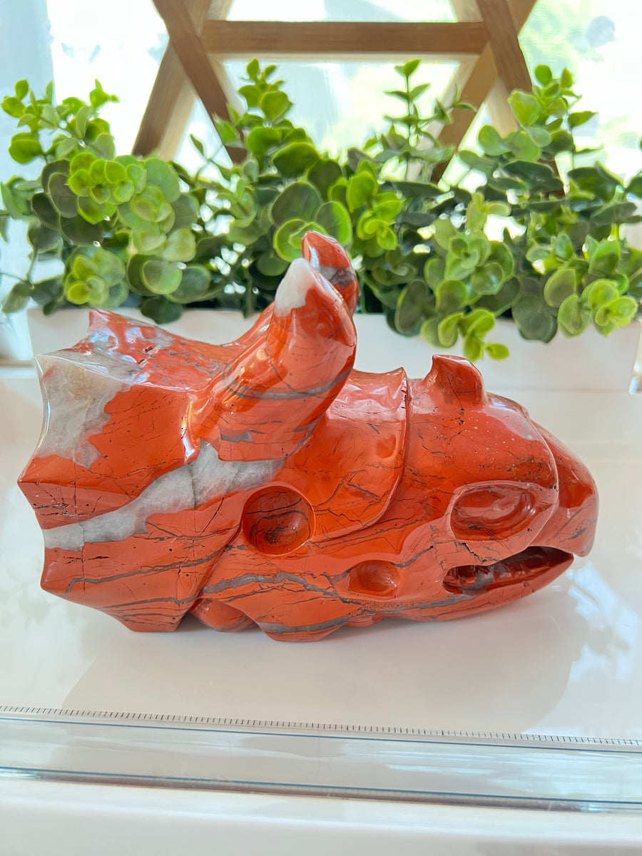 HUGE Red Jasper & Quartz Sacred Dragon Skull, Horned Dinosaur Ceratopsian