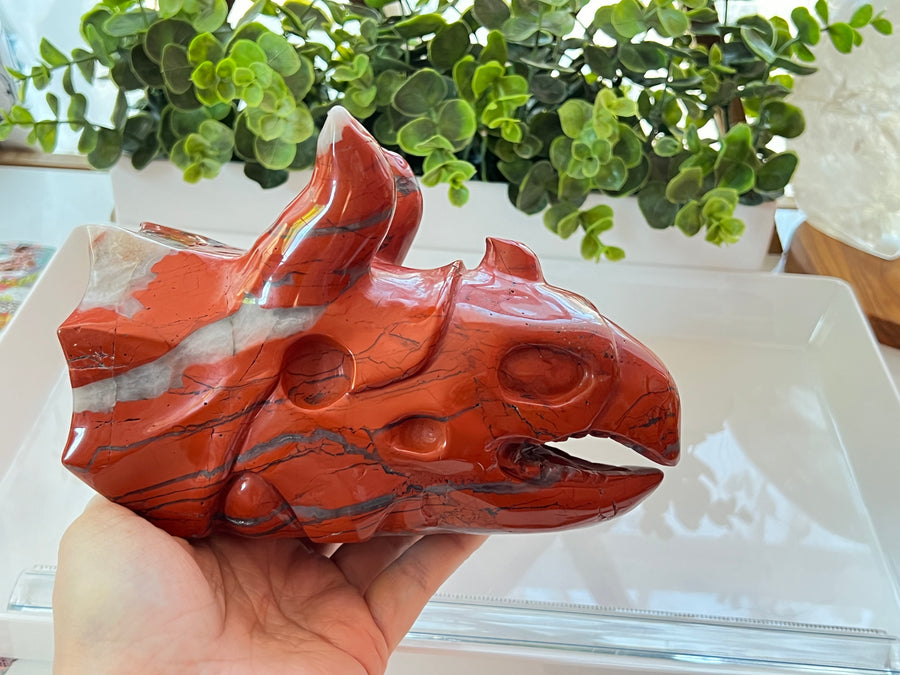 HUGE Red Jasper & Quartz Sacred Dragon Skull, Horned Dinosaur Ceratopsian