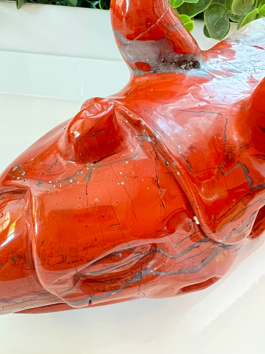 HUGE Red Jasper & Quartz Sacred Dragon Skull, Horned Dinosaur Ceratopsian