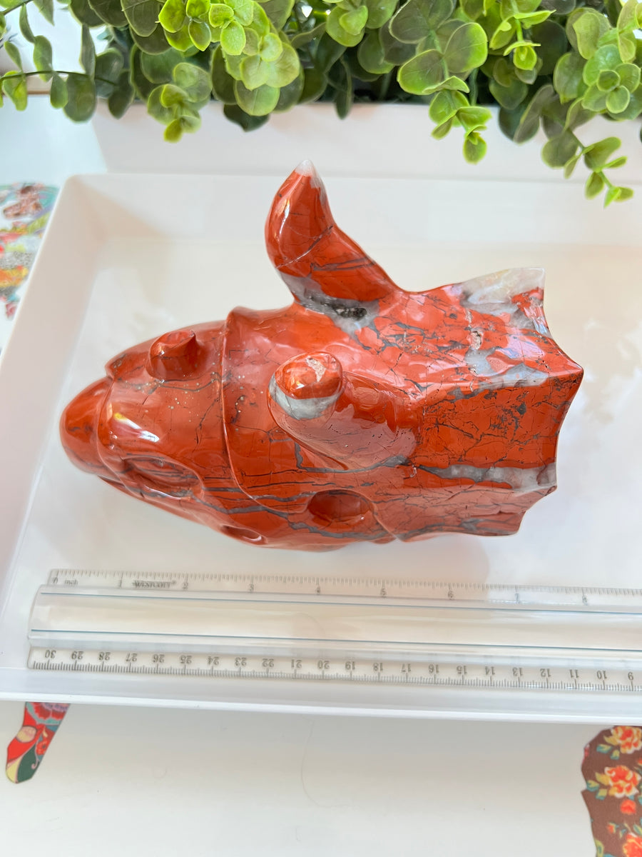 HUGE Red Jasper & Quartz Sacred Dragon Skull, Horned Dinosaur Ceratopsian