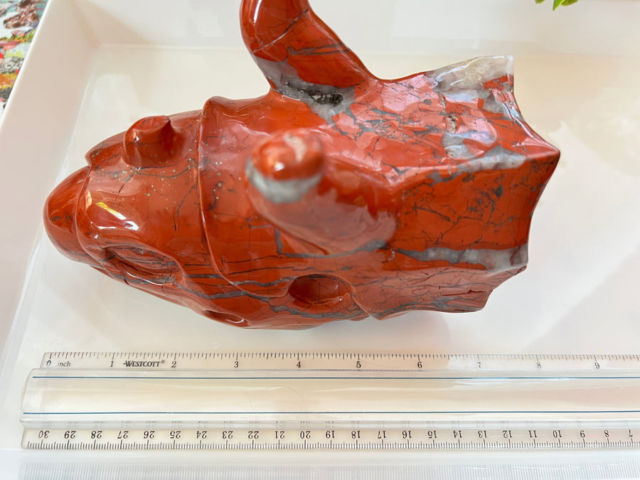 HUGE Red Jasper & Quartz Sacred Dragon Skull, Horned Dinosaur Ceratopsian