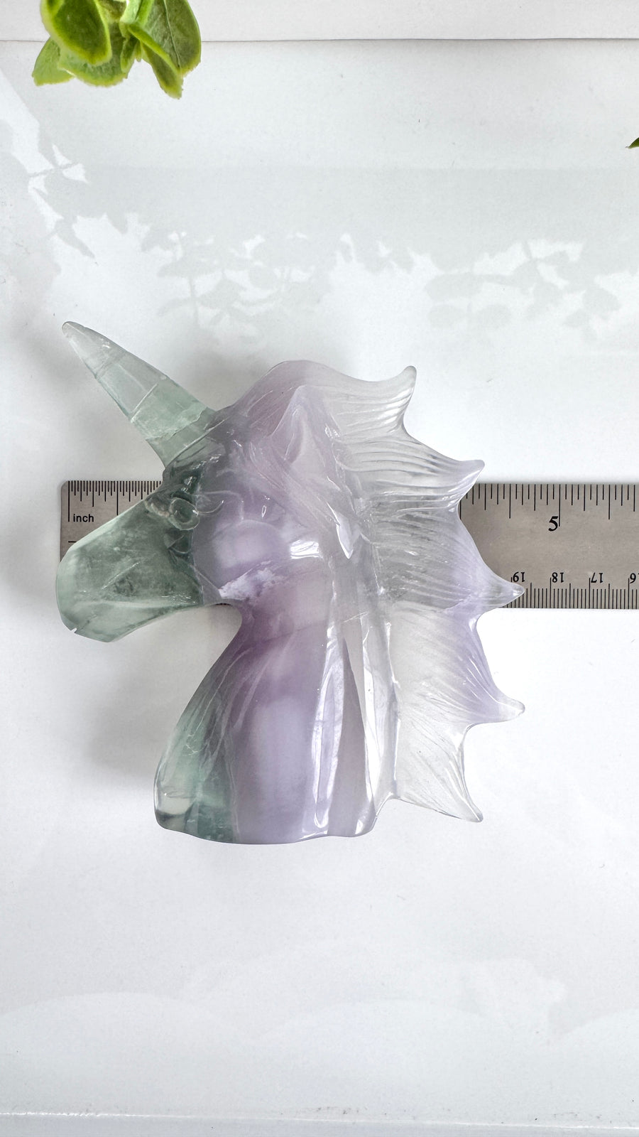 Rare Lavender Fluorite Unicorn for Insight and Creativity, 5