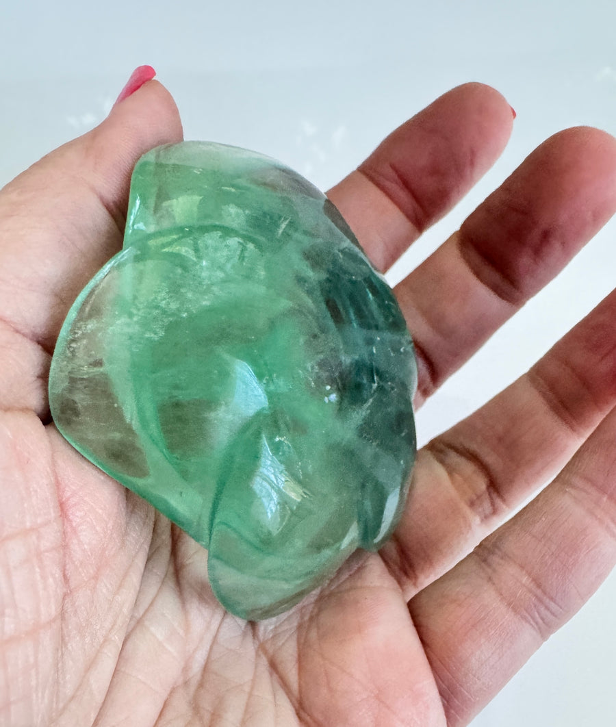 Fluorite Crystal Flower 2.5