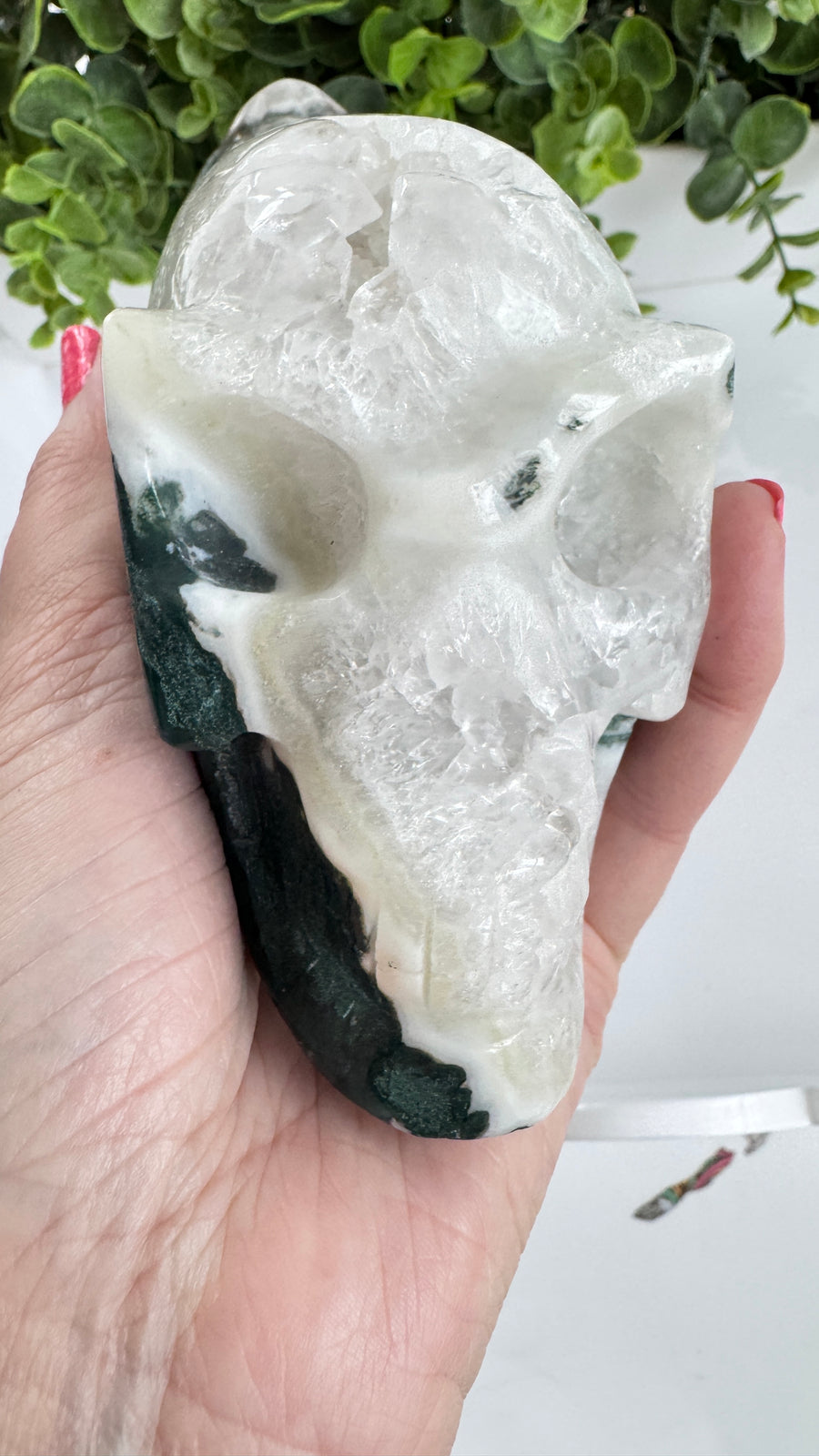 XL Traveler Crystal Skull for Galactic Wisdom, in Moss Agate with Quartz Geode Druzy 5.5