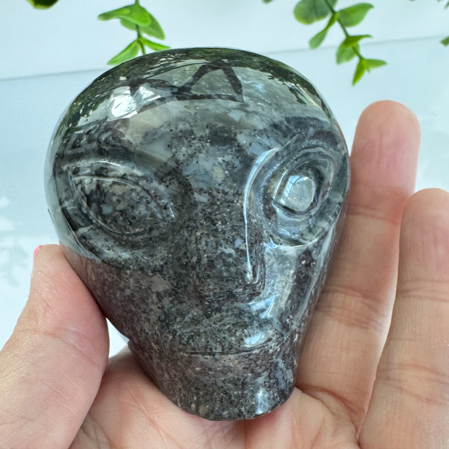 Black Agate Star Being Alien Crystal Skull for Galactic Connection 2.5