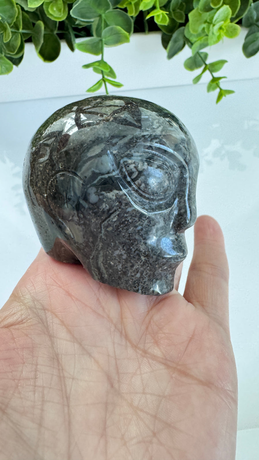Black Agate Star Being Alien Crystal Skull for Galactic Connection 2.5