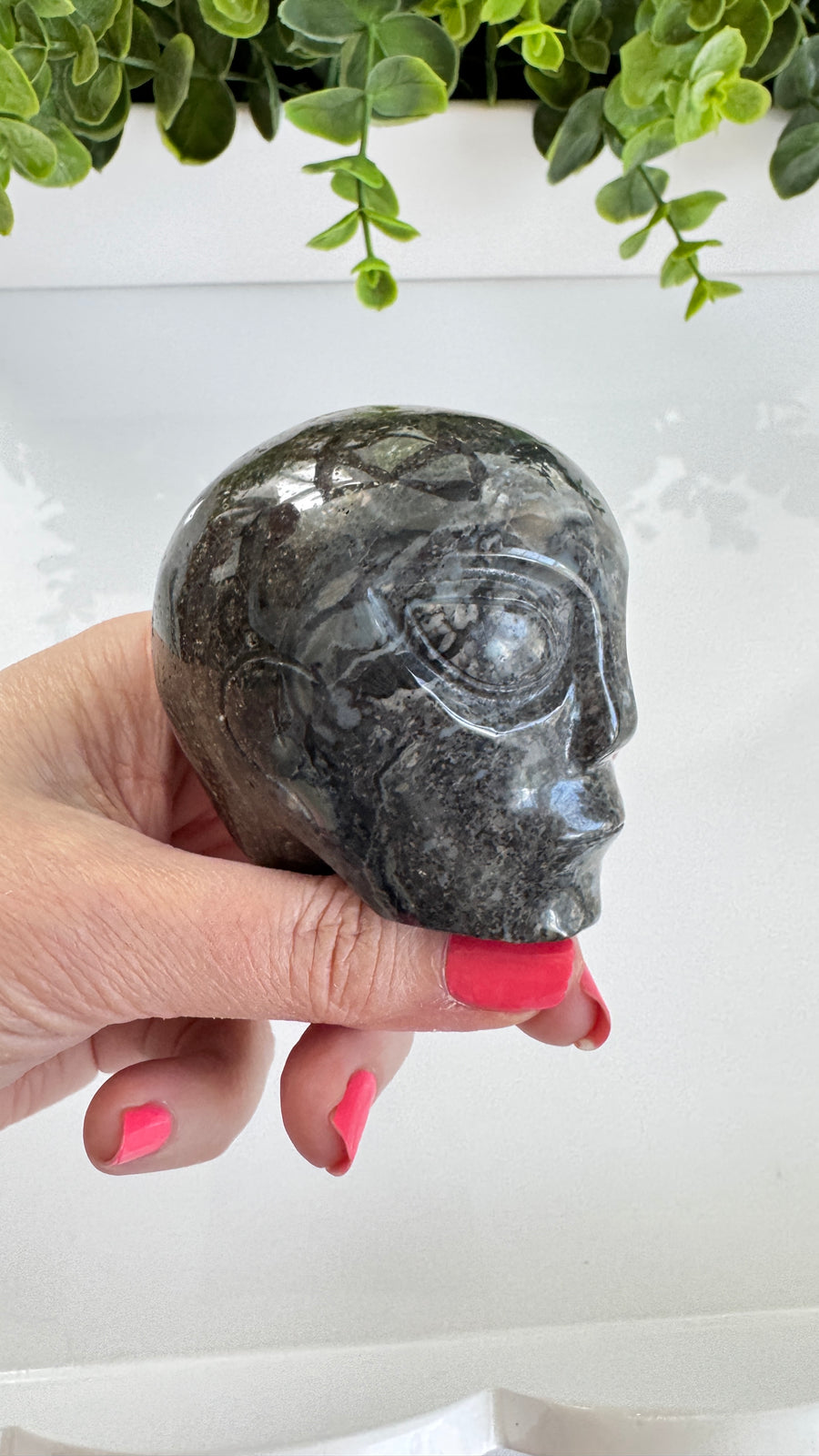 Black Agate Star Being Alien Crystal Skull for Galactic Connection 2.5