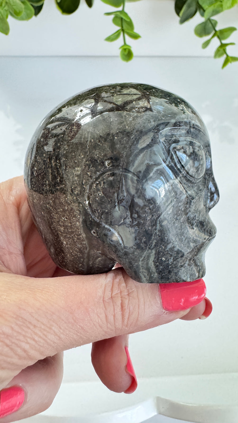 Black Agate Star Being Alien Crystal Skull for Galactic Connection 2.5