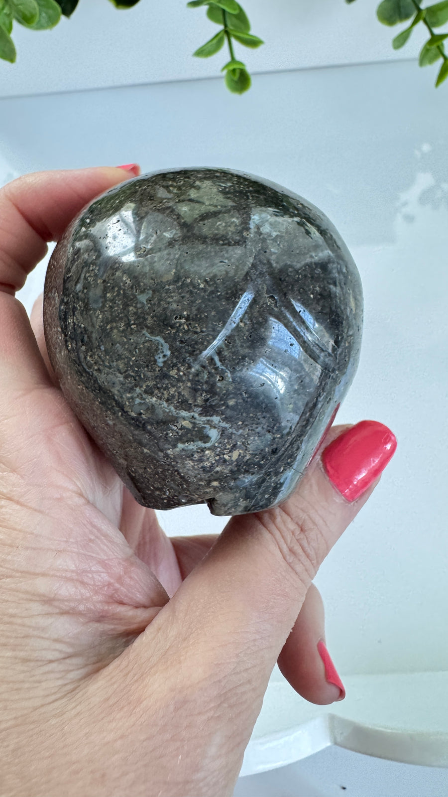 Black Agate Star Being Alien Crystal Skull for Galactic Connection 2.5