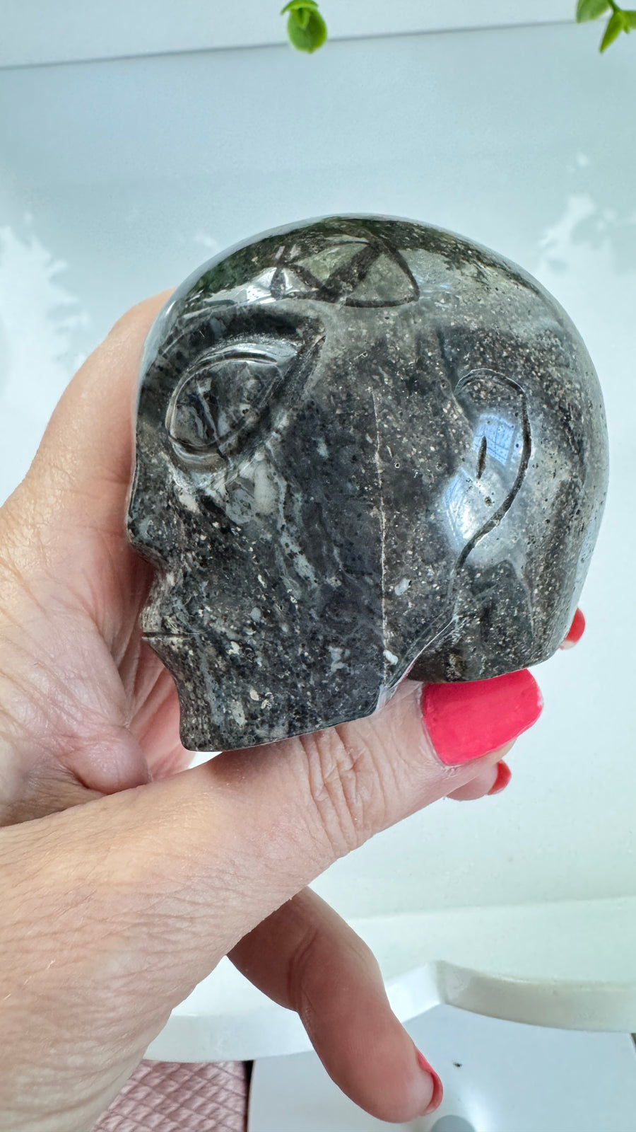 Black Agate Star Being Alien Crystal Skull for Galactic Connection 2.5
