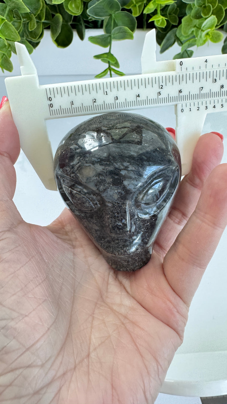 Black Agate Star Being Alien Crystal Skull for Galactic Connection 2.5