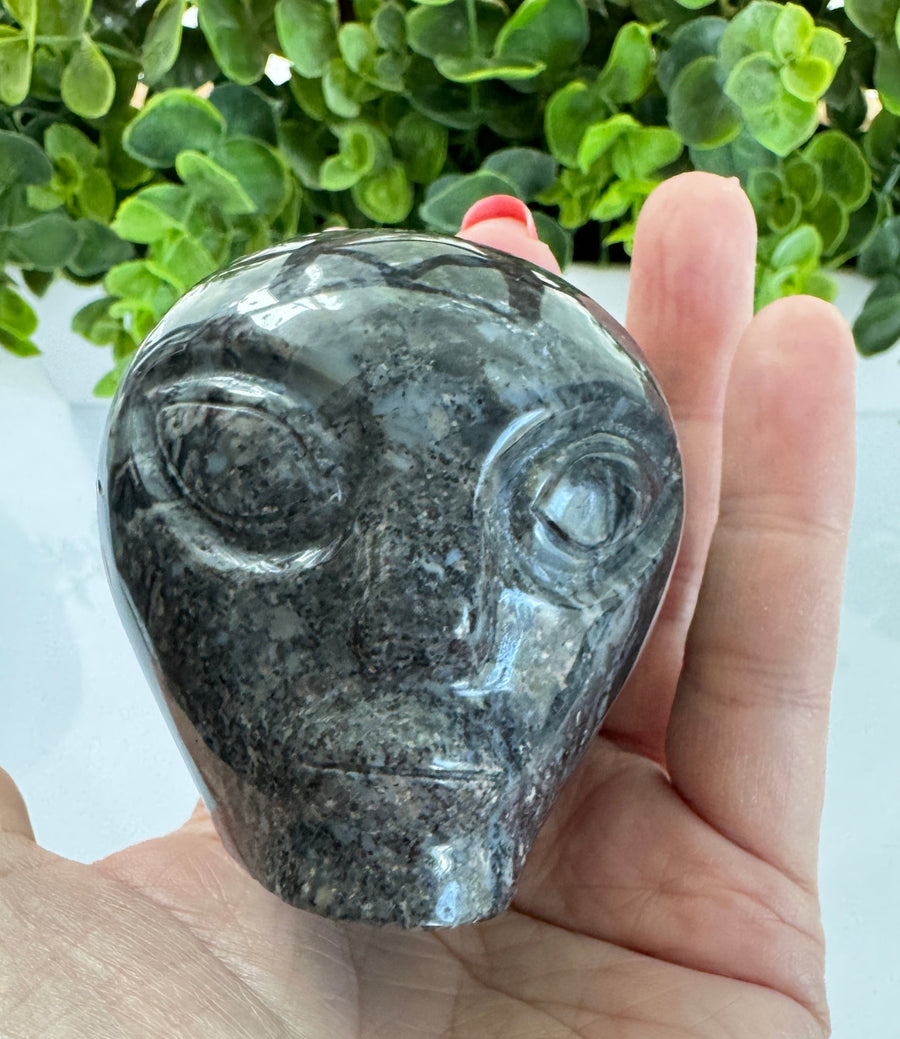 Black Agate Star Being Alien Crystal Skull for Galactic Connection 2.5