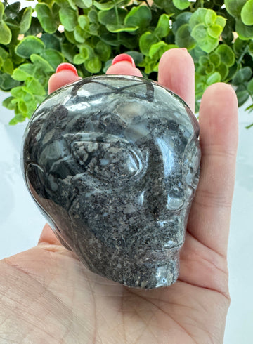 Black Agate Star Being Alien Crystal Skull for Galactic Connection 2.5