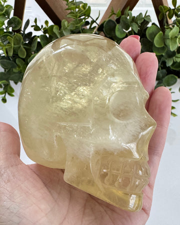 Flashy Citrine Crystal Skull for Prosperity with Rainbows! Large 3.75