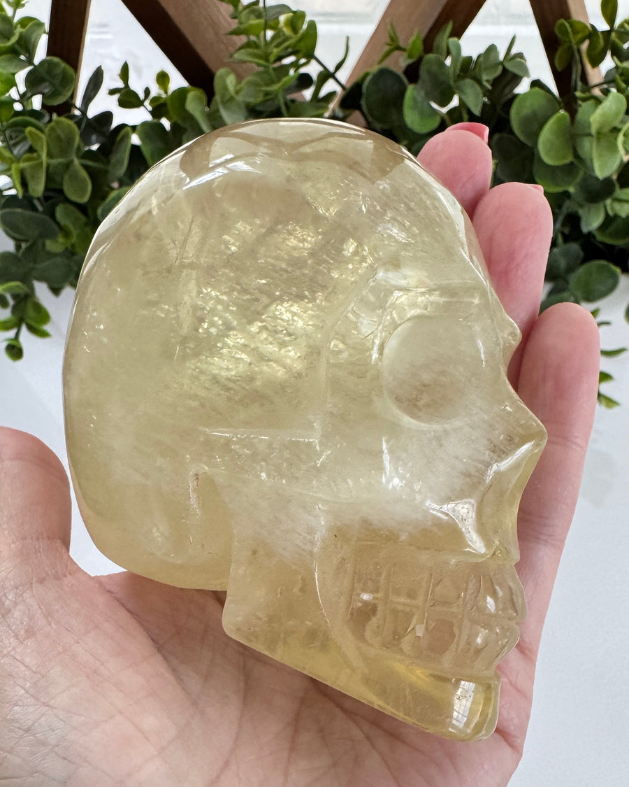 Flashy Citrine Crystal Skull for Prosperity with Rainbows! Large 3.75