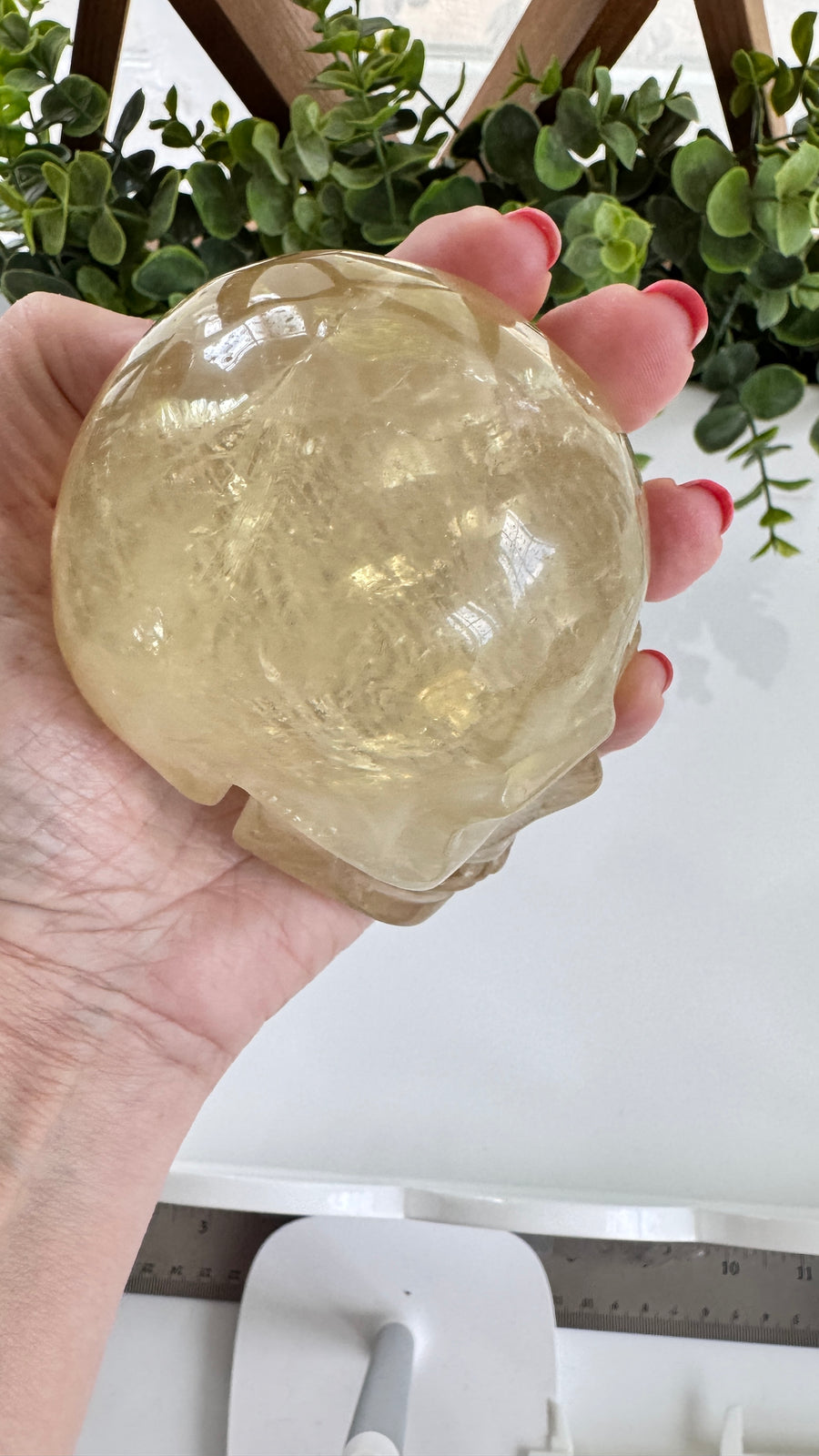 Flashy Citrine Crystal Skull for Prosperity with Rainbows! Large 3.75