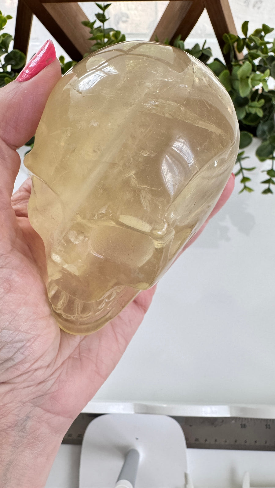 Flashy Citrine Crystal Skull for Prosperity with Rainbows! Large 3.75