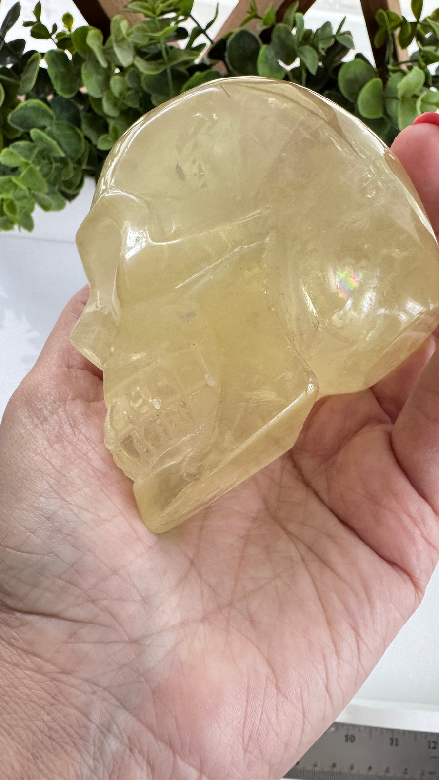 Flashy Citrine Crystal Skull for Prosperity with Rainbows! Large 3.75